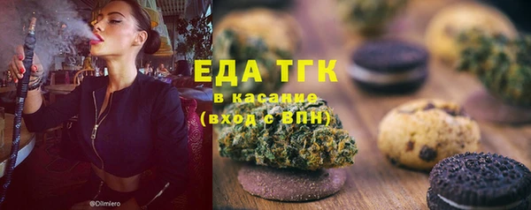 индика Богородск