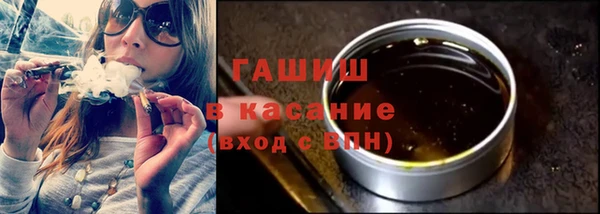 индика Богородск