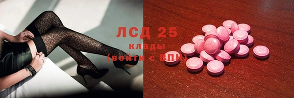 индика Богородск