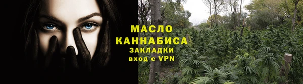 индика Богородск