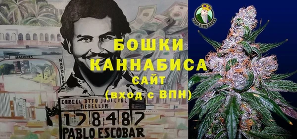 гашиш Богданович