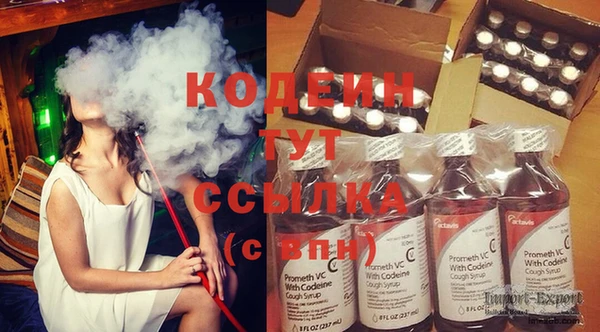 индика Богородск