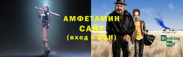 индика Богородск