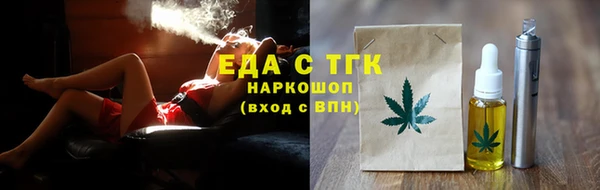 индика Богородск