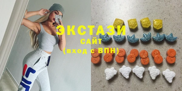 индика Богородск