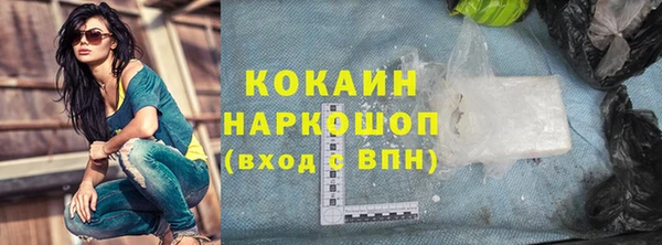 индика Богородск