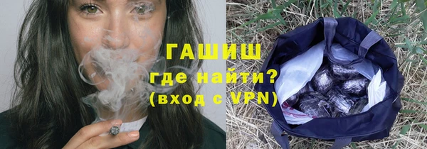 индика Богородск