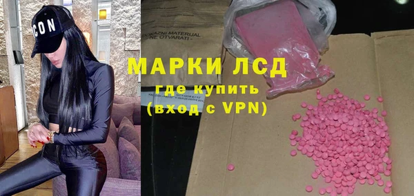гашиш Богданович