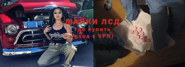 индика Богородск